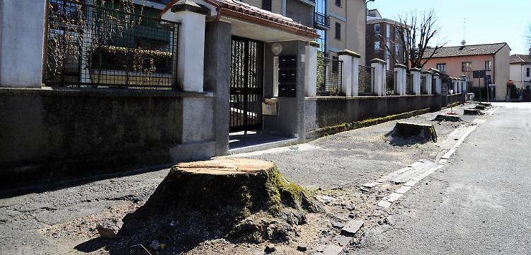 Via Bacchetta, taglio irregolare