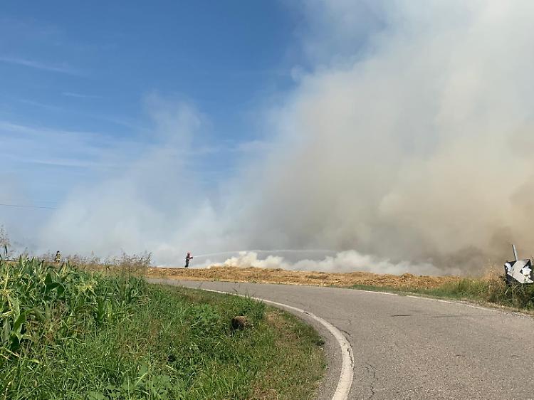 Muradolo, campo di tre ettari in fiamme