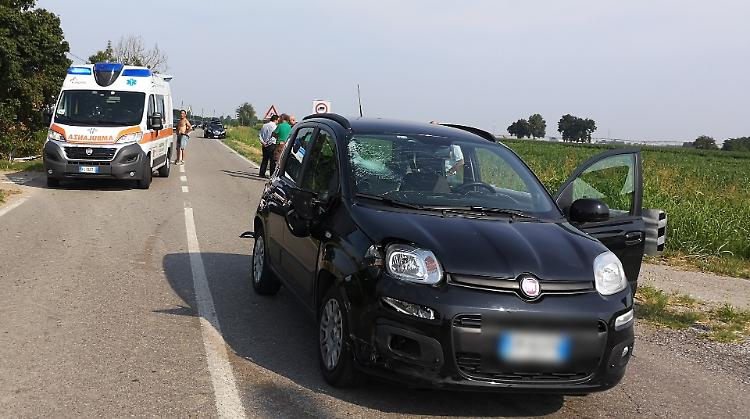 Ciclista investito lungo la strada provinciale