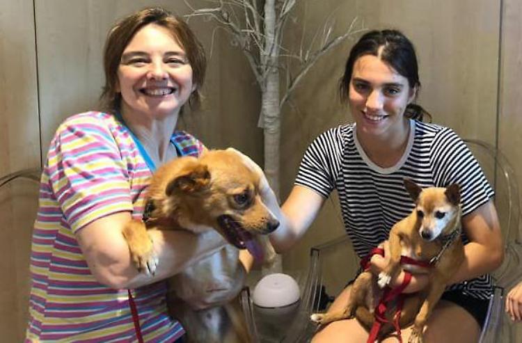 Poteva morire, nuova vita in famiglia per il cane Salvo