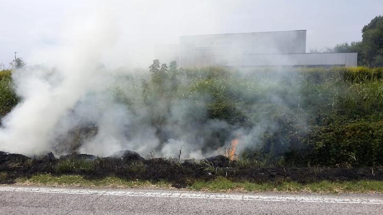 Paglia nel fosso prende fuoco lungo la provinciale