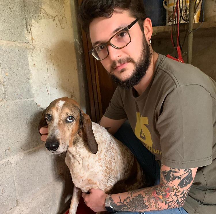 Allerta vipere, cane salvato in extremis