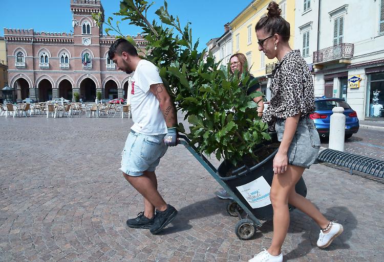 Piante sul Listone: "Esperienza già chiusa"
