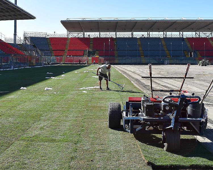 Stadio Zini, al via la posa delle zolle in erba naturale