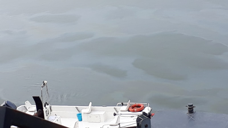 Isola Pescaroli, allarme inquinamento nel Po