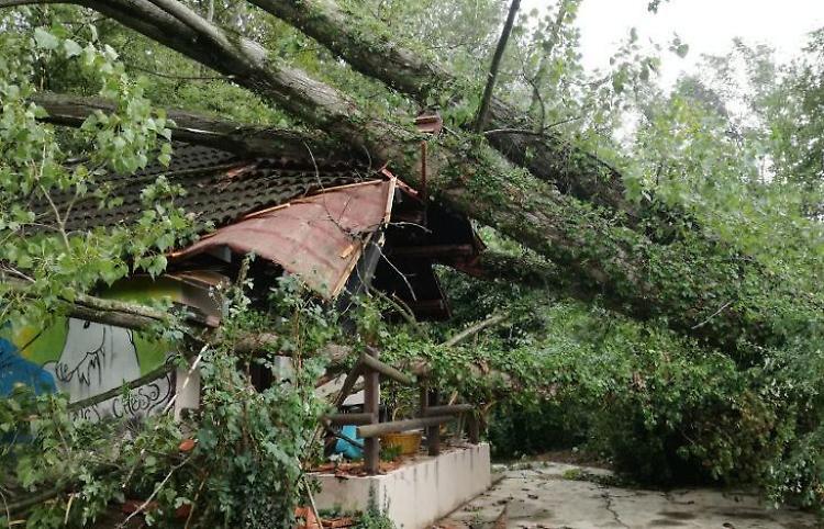 Centro rana rossa distrutto: tutti i ragazzi in salvo 