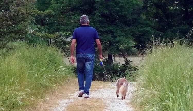 Cani sull'argine, altro meticcio azzannato
