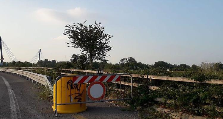 Pista ciclabile chiusa inghiottita dalla vegetazione