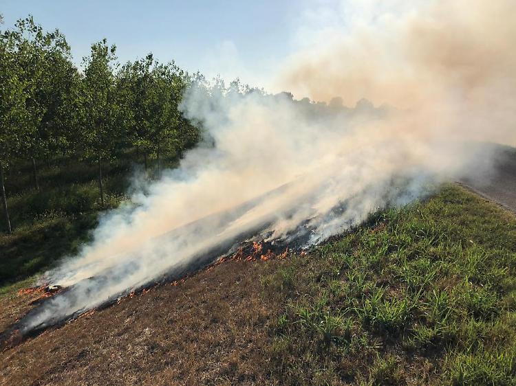 Piromane di nuovo in azione, fuoco sull'argine