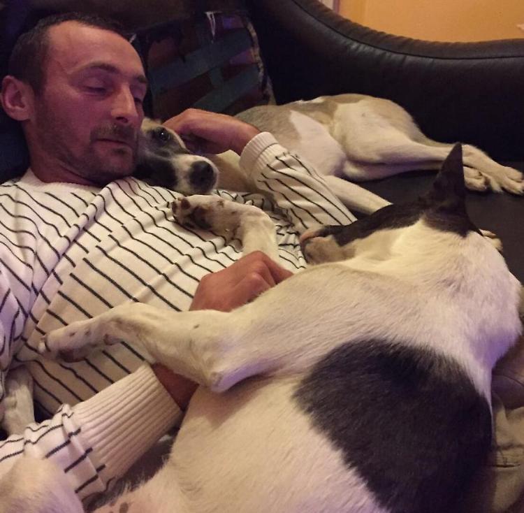 Muore coccolato dai suoi due cani