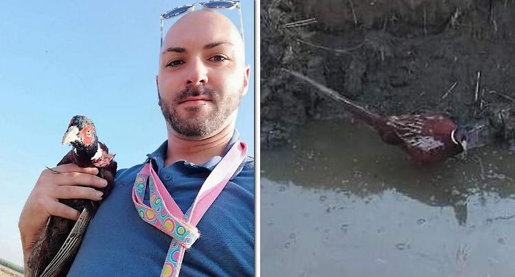 Caccia aperta, Christian salva un fagiano appena in tempo