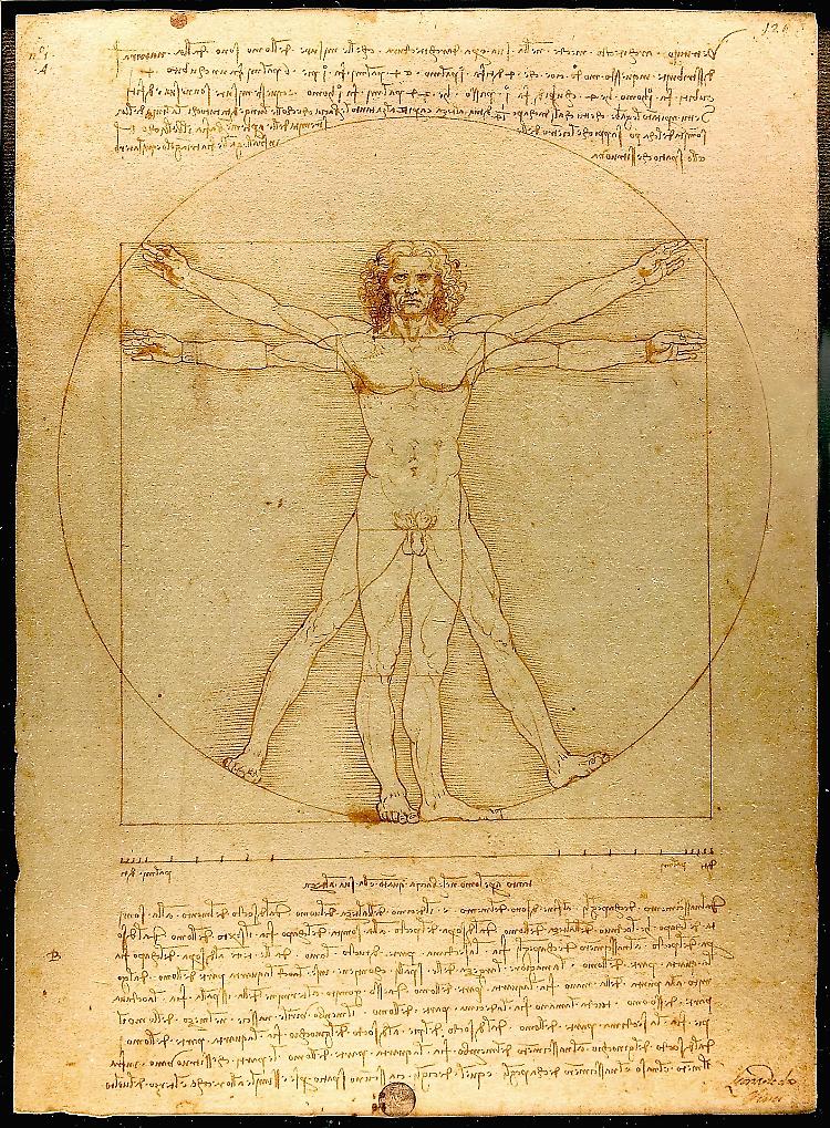 Salta il prestito dell'Uomo Vitruviano al Louvre