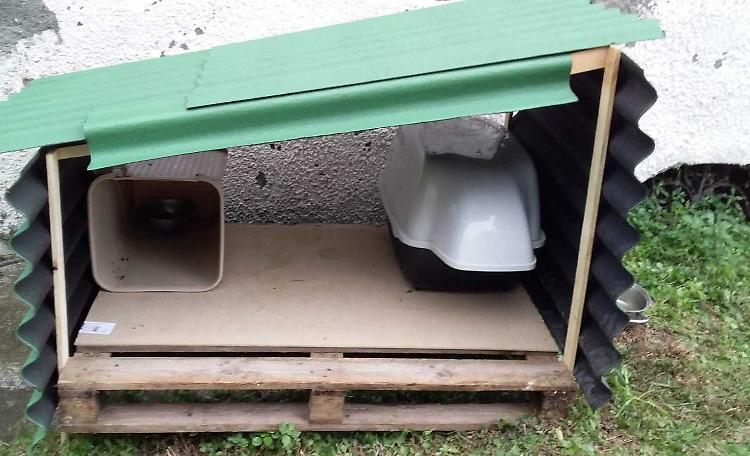 Vandali, subito danneggiata la casetta per i gatti randagi