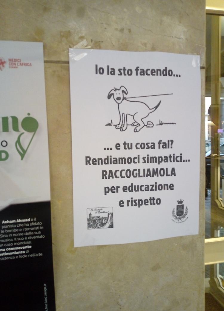 MERDE DI CANE
