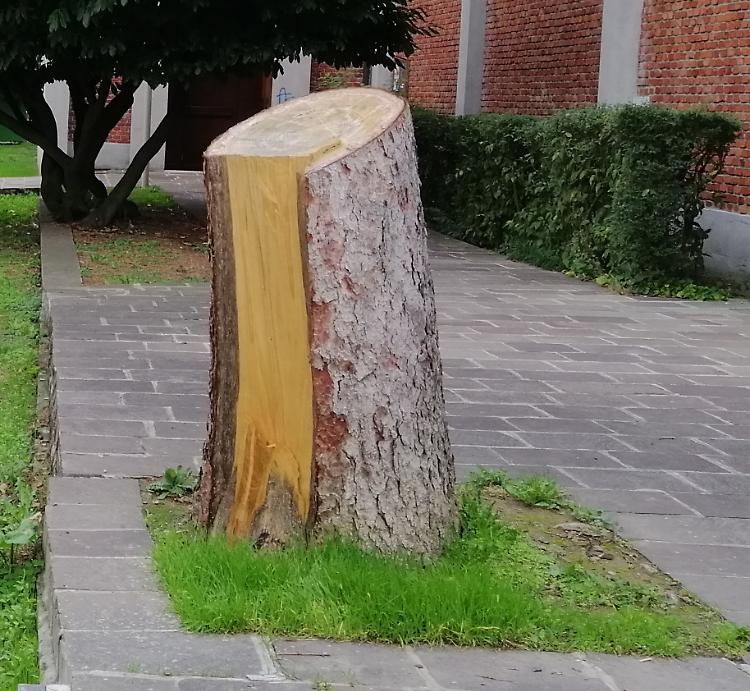 La Fiab si scaglia contro il don