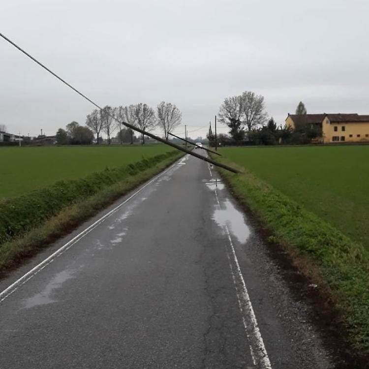 Il forte vento fa cadere i pali della linea telefonica