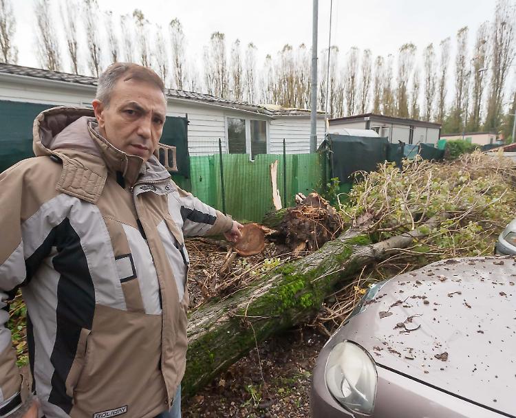 Albero sul bungalow, famiglia salva per miracolo