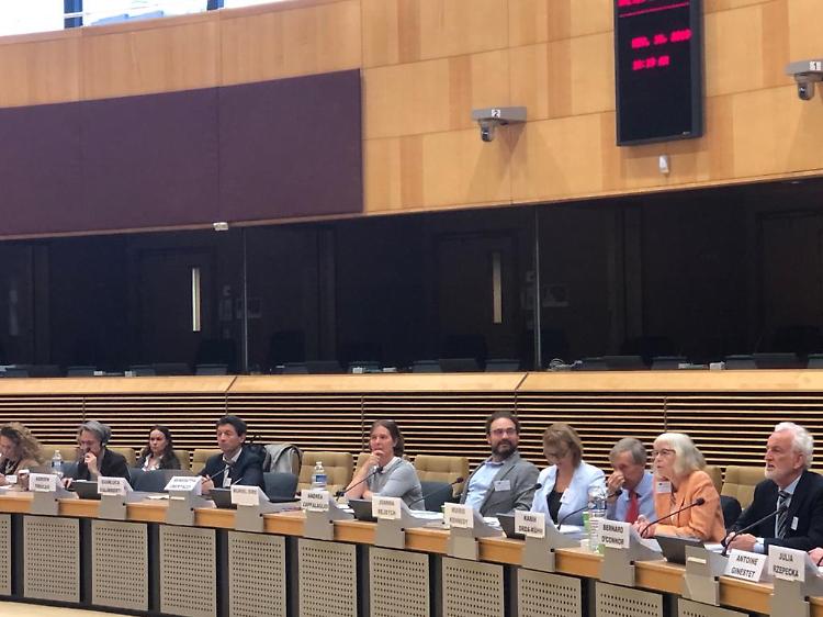 Artigianato, Cremona e la liuteria esempio per tutta l'Europa