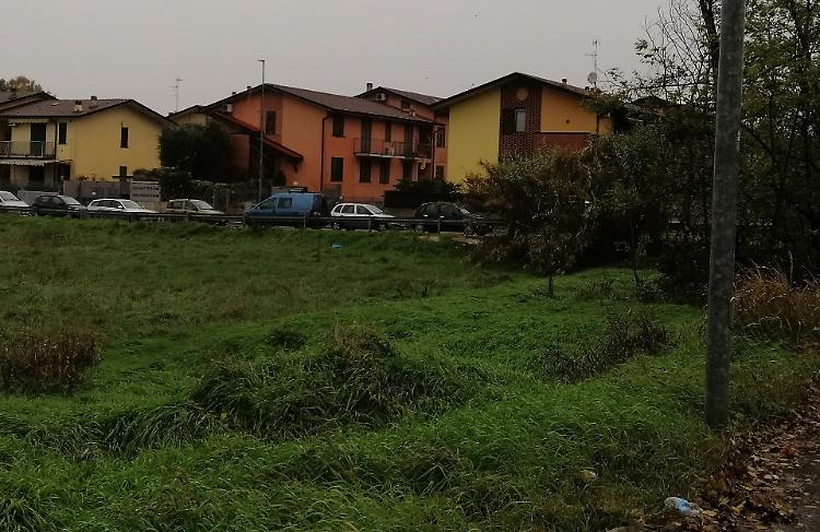Ecco i due nuovi polmoni verdi