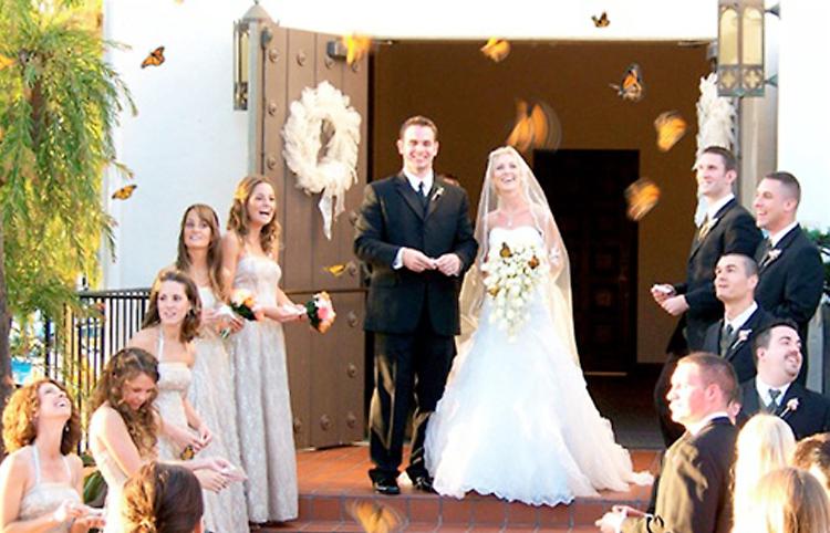 L’altare non attira gli sposi: quattro chiese, zero matrimoni