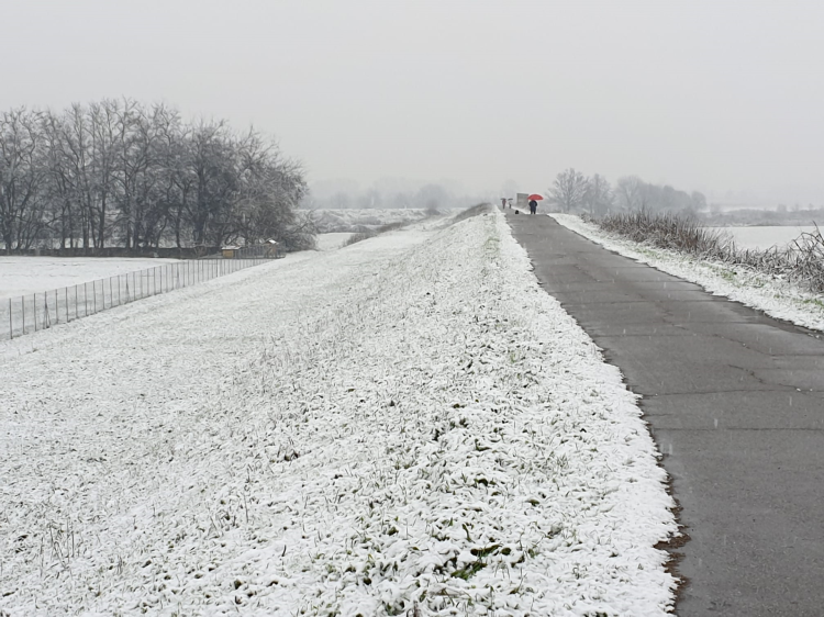 La città si sveglia con la neve, ma è una... spolverata