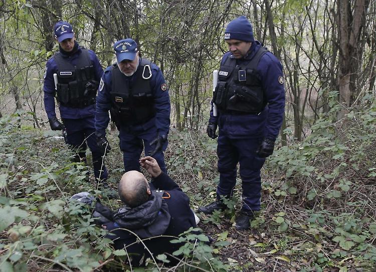 Cremonesi nel "bosco della droga"