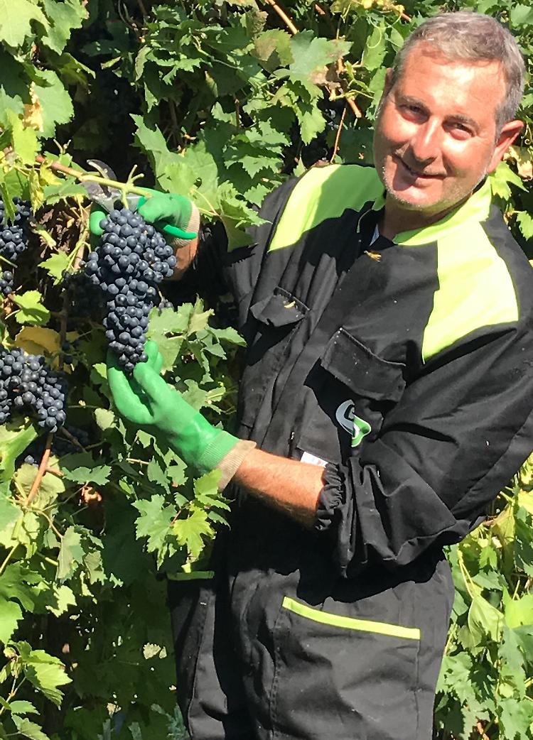Il Lambrusco che sbaraglia gli emiliani