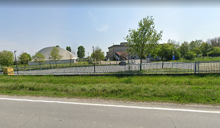 Scuola, nuovi alberi: «Riparo contro  le garzette»