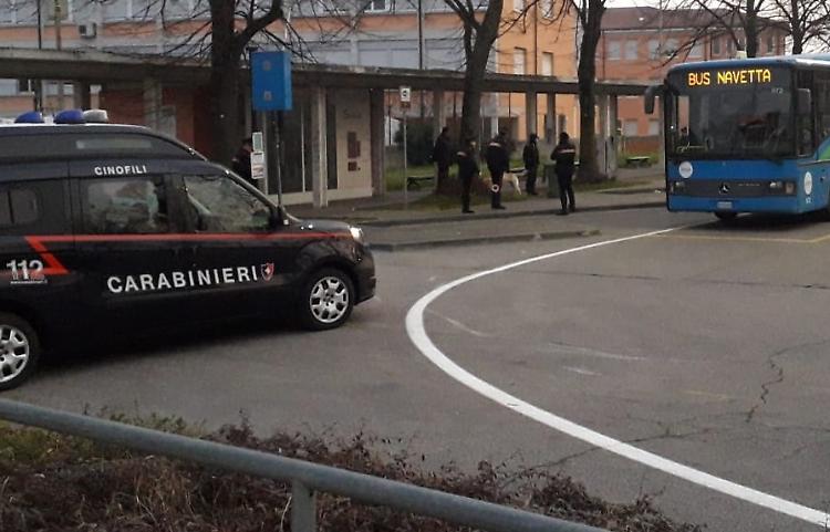 Controlli antidroga dei carabinieri cinofili