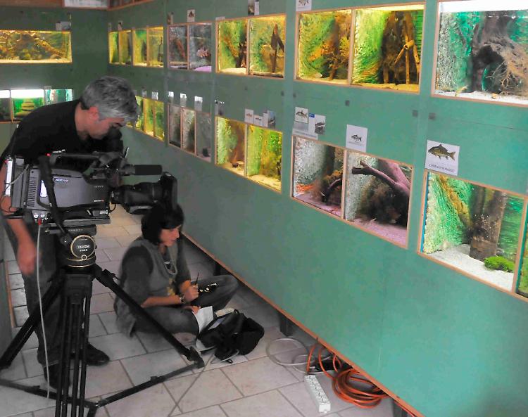 Acquario del Po, l'appello: 12-15 mila euro o si chiude