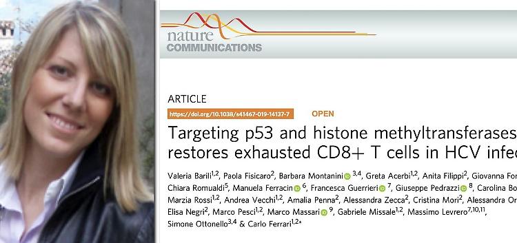 Epatite C, le nuove speranze