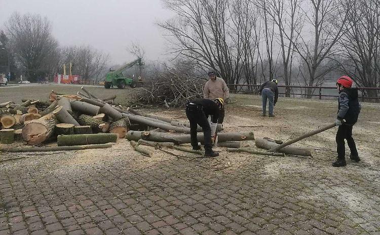 Volontari in azione, ripulita l’area della piarda