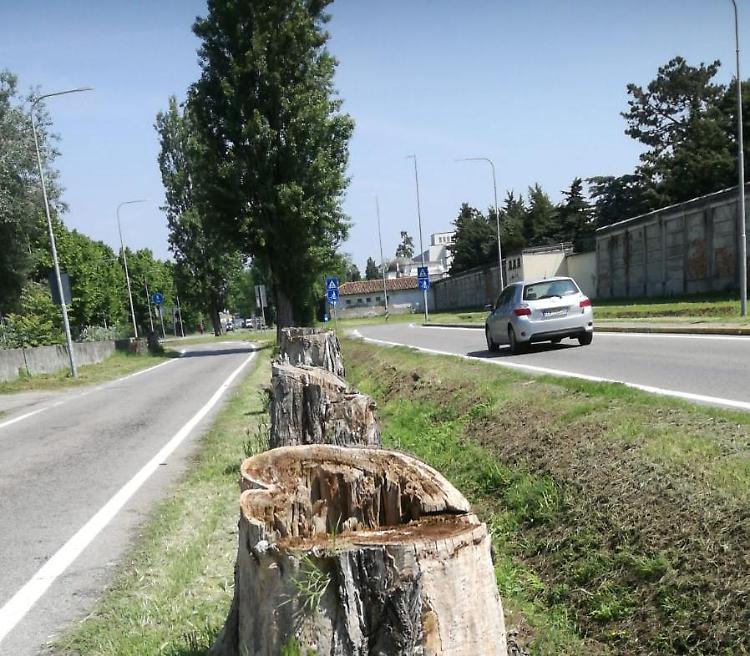 Dal 6 febbraio lavori alla rete fognaria in via Boschetto