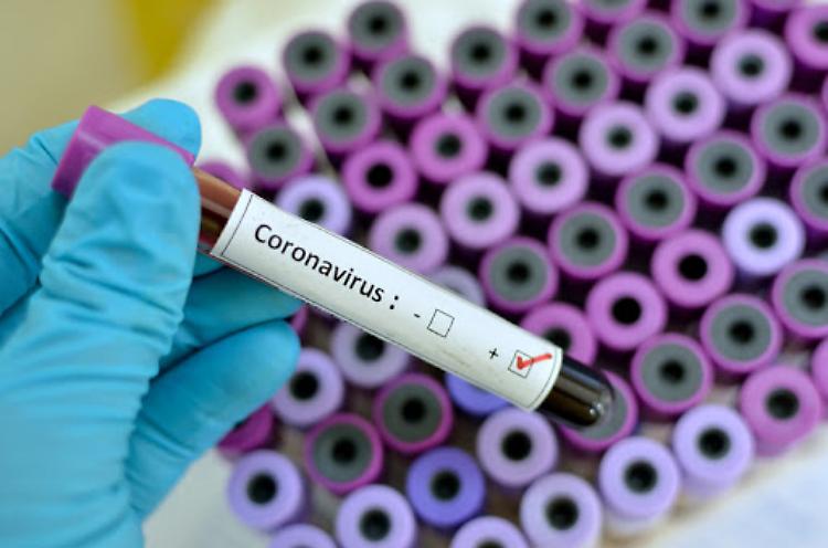Coronavirus, sospensione delle gare di pallavolo