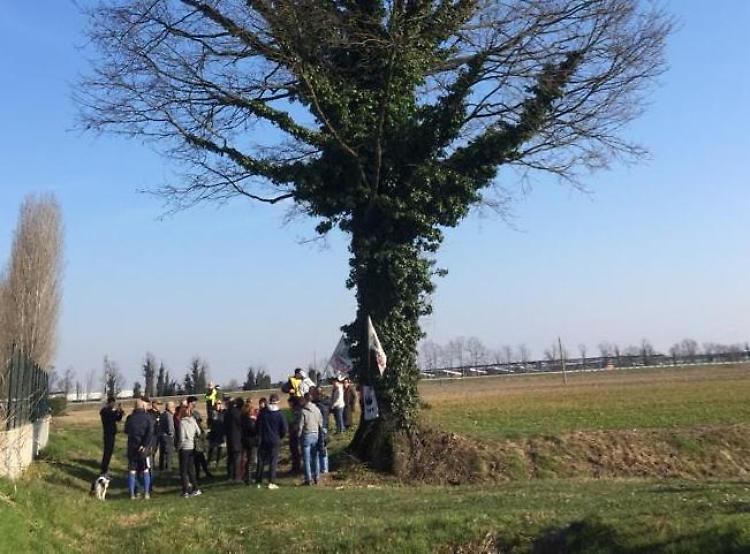 Nato il Comitato Quercia della concordia