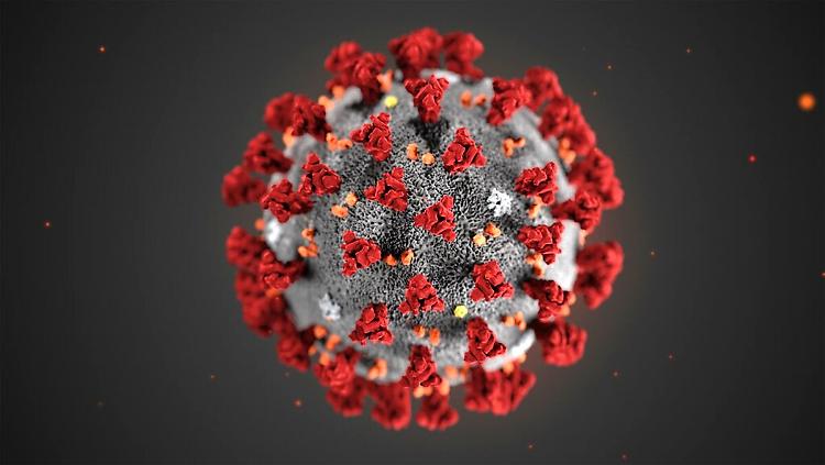 Coronavirus: così ha messo il turbo alla scienza