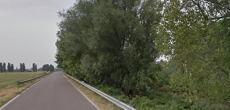 Taglio alberi, chiude la Sp31