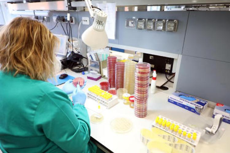 Coronavirus, Vivi Castelvetro propone misure per le famiglie