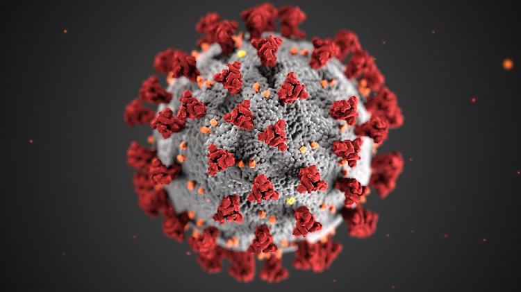 Coronavirus, ecco cosa fare quando si entra ed esce da casa