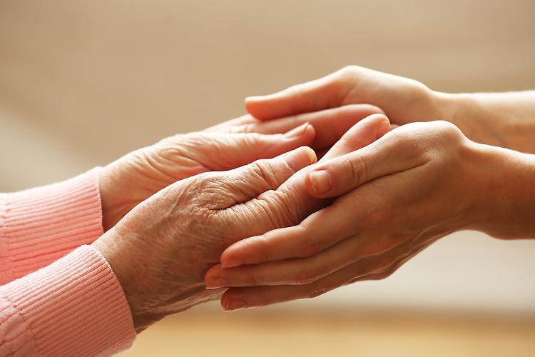 Casalmaggiore, assistenza domiciliare anziani:  il grazie dell'assessore Salvatore 
