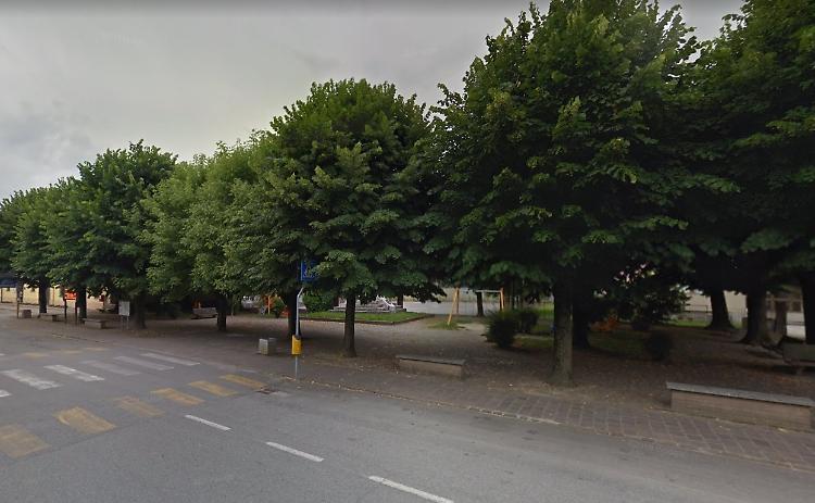 Alberi malati e pericolosi, vanno abbattuti