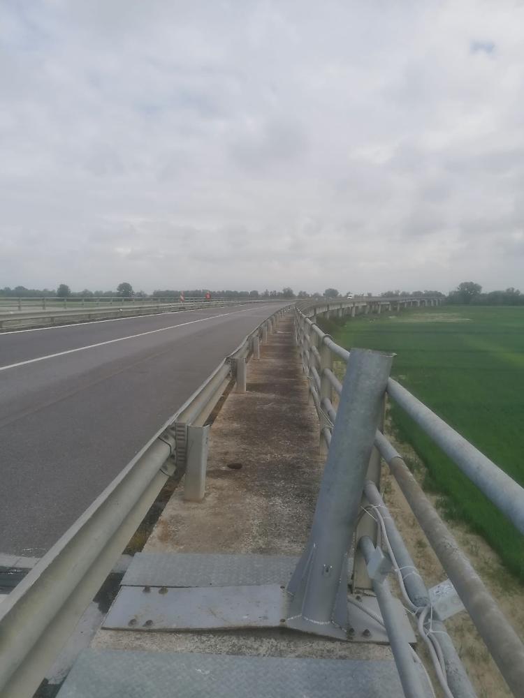 Ponte Verdi, autovelox tranciato e gettato dal viadotto