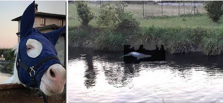 L&rsquo;amica di Santa Lucia morta annegata nel naviglio