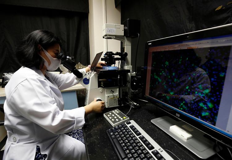  Coronavirus: Ema, vaccino forse pronto in un anno
