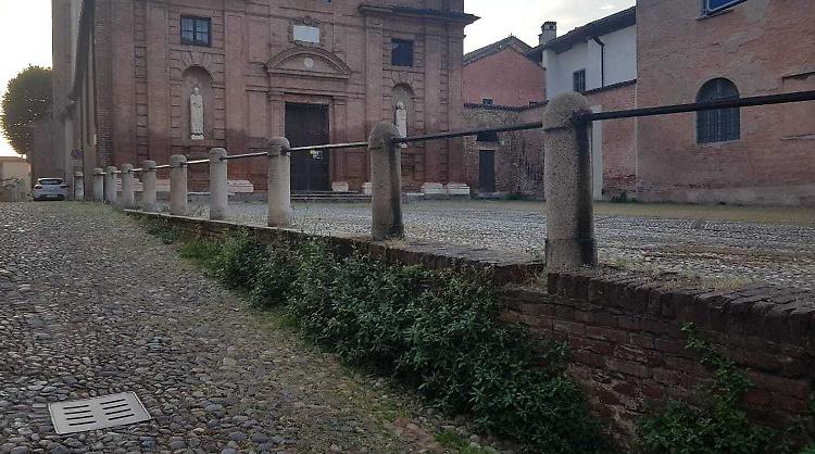 Cremona, una «foresta». Ma c’è chi la «disbosca» 