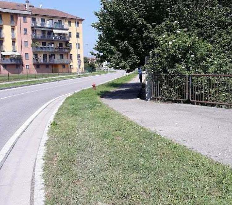 Gli alberi e le siepi invadono le piste ciclabili