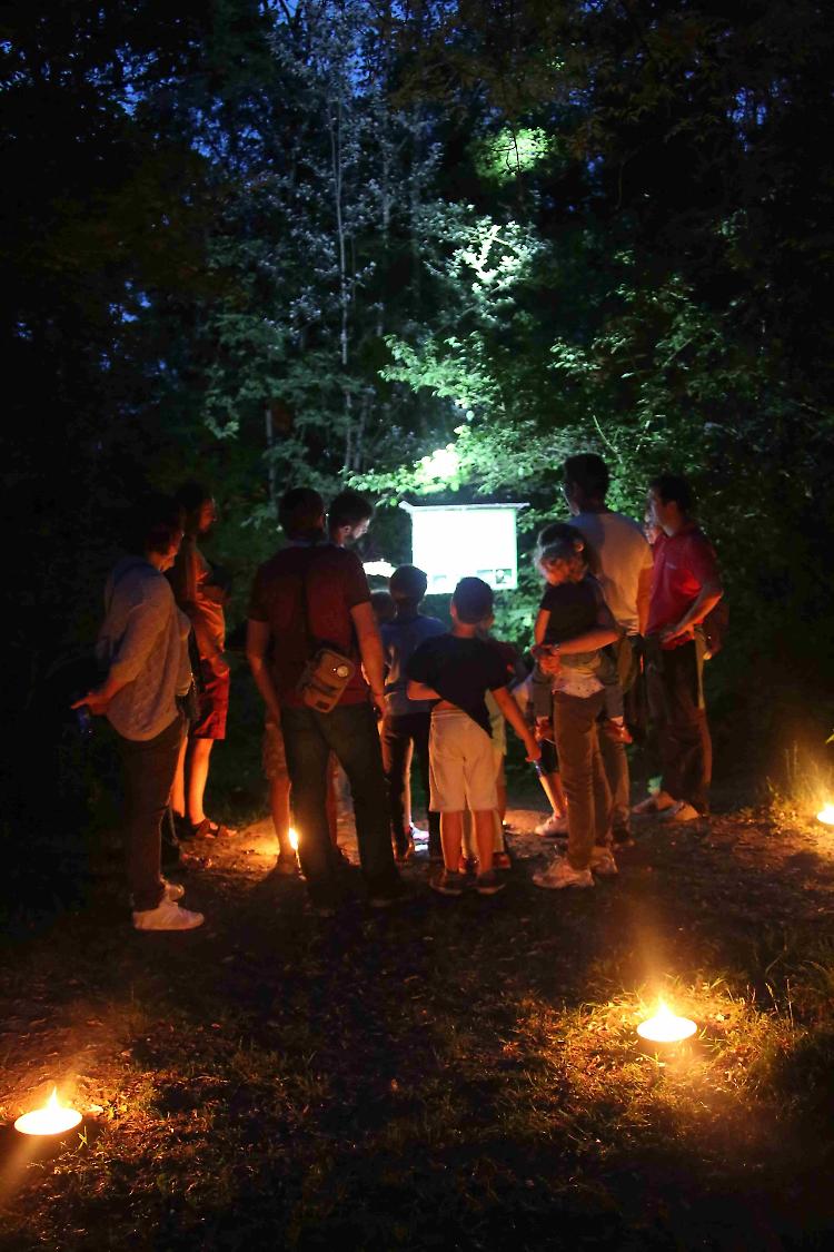 Lucciole protagoniste, due serate per ammirarne il bagliore