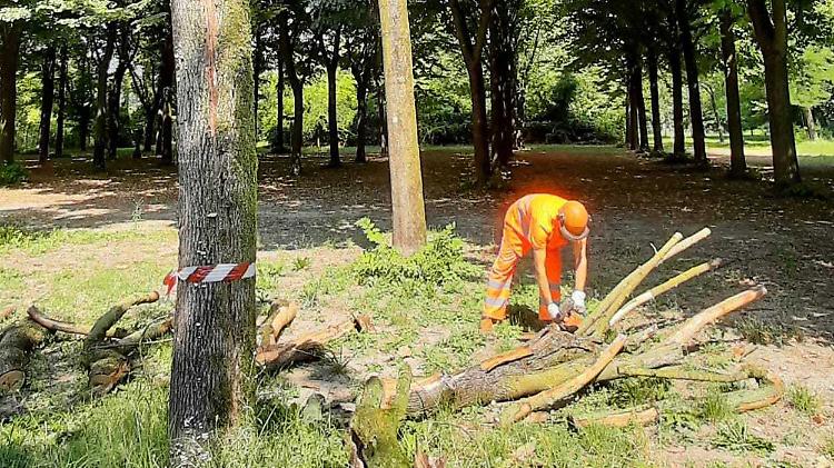 Il parco degli scout messo in sicurezza