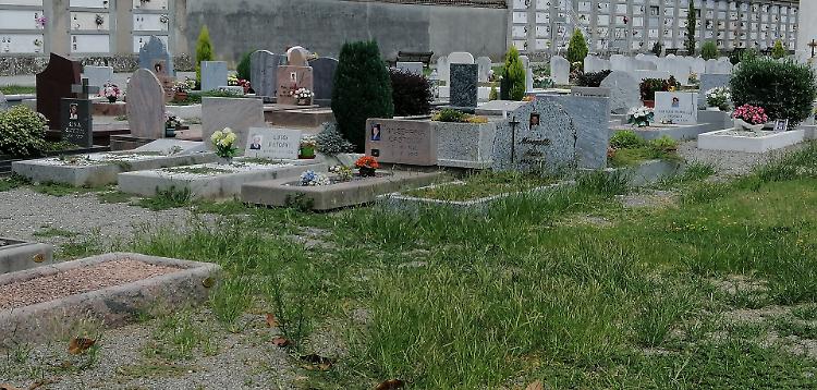 Erbacce e incuria tra le tombe, proteste al cimitero Maggiore