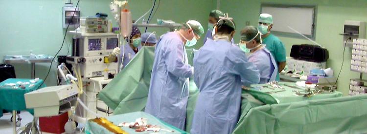 Donatori di organi: 13 Comuni cremaschi mancano all'appello